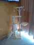 Котешка катерушка /нова/, снимка 1