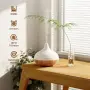 ASAKUKI 300ml дифузер за етерични масла с 4 таймера и 14 цветни LED светлини | Ултразвуков дифузер , снимка 3