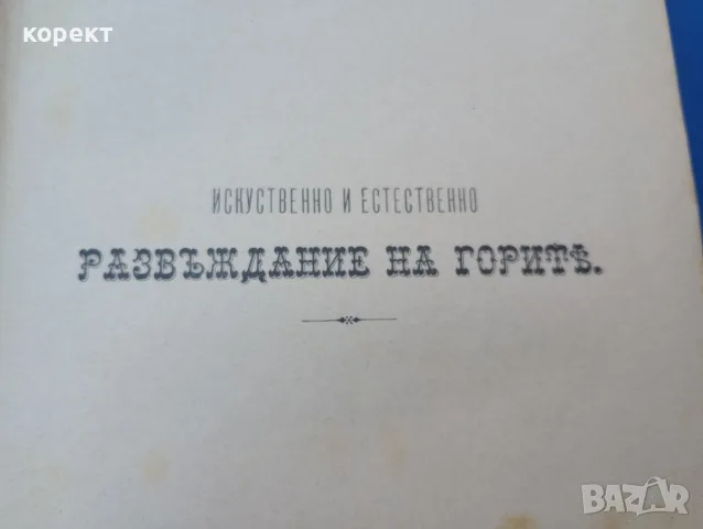 1893г. Развъждане на горите, снимка 4 - Антикварни и старинни предмети - 55501361