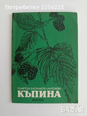 Къпина-отглеждане 1987г.