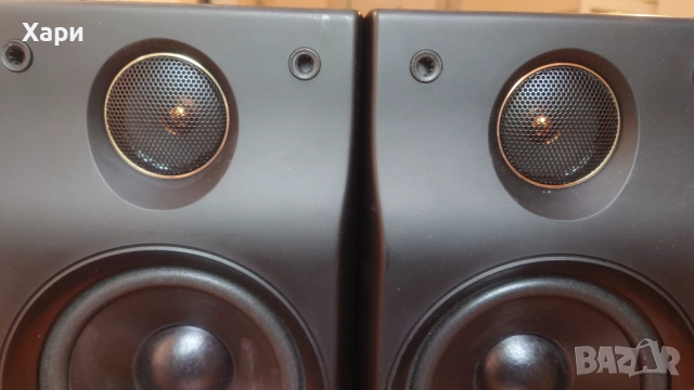Тонколони Technics SB-CH7, снимка 4 - Тонколони - 54663501