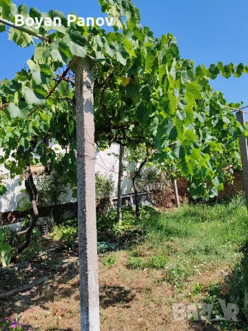 Продава къща село Бошуля, снимка 5 - Къщи - 55577285