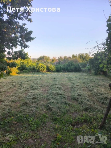 Продавам къща в село Осенец, снимка 4 - Къщи - 55068624