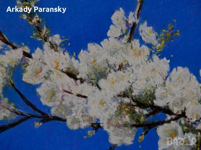 Клон на цъфтяща череша, снимка 3 - Картини - 54217546