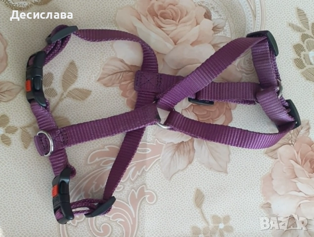 Аксесоари, снимка 2 - За кучета - 54786594