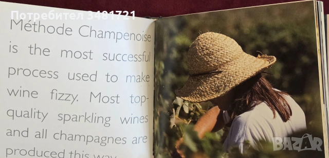 Пенливо - книга за шампанското и пенливите вина / Bubbly. Enjoying Champagne and Sparkling Wine, снимка 5 - Кулинария - 55065021