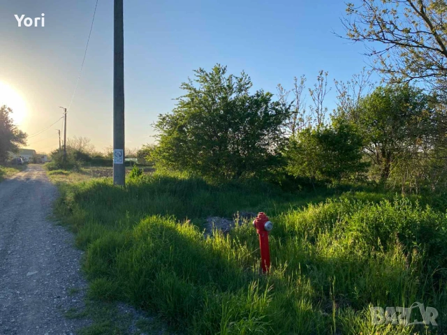 Продава се двор в гр.Козлодуй, снимка 3 - Парцели - 54331540