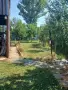 Продавам имот в град Батановци!, снимка 6