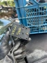 Клапи парно Волво S40/V40, снимка 5