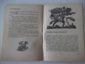 Книга "Момино лозе - Христо Пелитев" - 64 стр., снимка 4