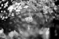Nikon 50mm f/1.4 AI обектив Никон, снимка 8