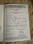 Кавалер Кинг Чарлз, снимка 6