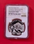 10 ЛЕВА 2007 ПИРИН PF 69 NGC, снимка 4