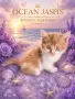 Британски котки , снимка 7
