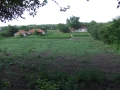 Къща  Пъстрен , Стара Загора , снимка 2
