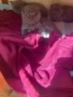 Продавам шотландски клепоухи малки котенца 😻, снимка 5