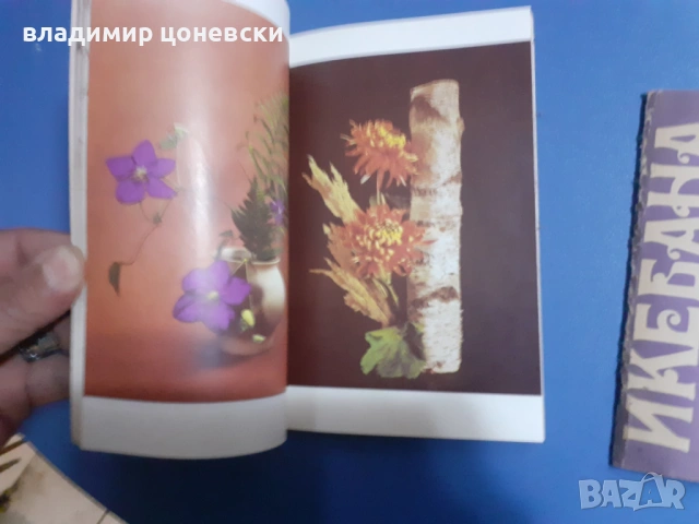 Книги помагала за изкуството  икебана,книга,цената е за двете, снимка 2 - Специализирана литература - 54067864