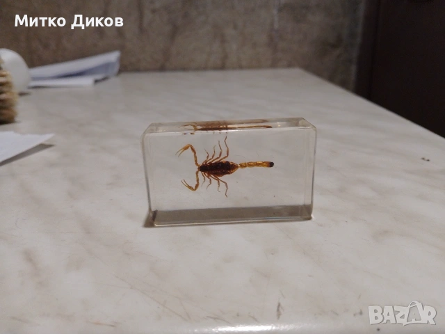 Паяче в стъкло за украса 60х34х18 мм