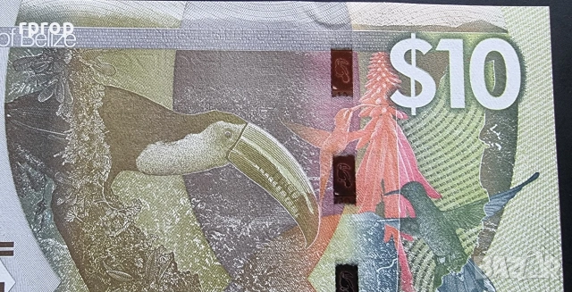 Белиз. 10 долара. 2025 година. UNC., снимка 3 - Нумизматика и бонистика - 37213779