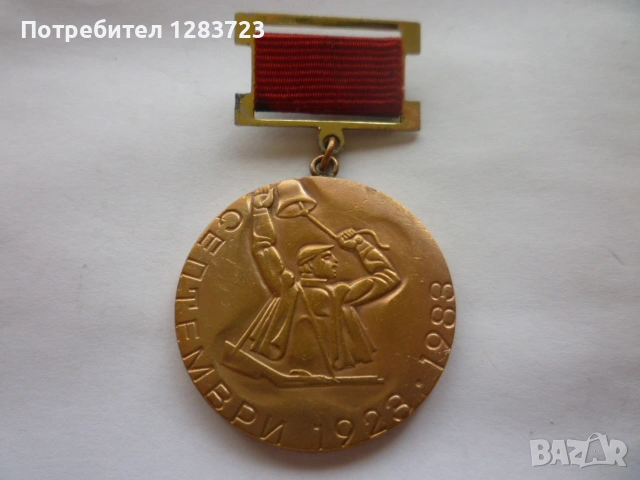 Знак Медал Орден, снимка 2 - Антикварни и старинни предмети - 54514648