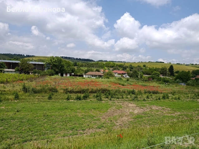 Парцел в с.Кайнарджа, снимка 8 - Парцели - 52271773