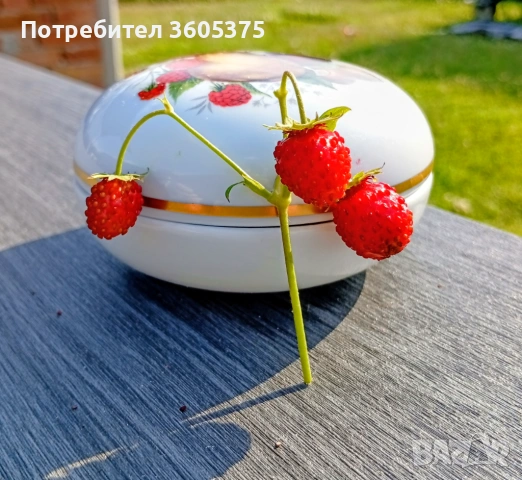 Кипра и очарователна кутия за дребни бижута от Fürstenberg , снимка 4 - Колекции - 54840168