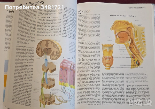 Атлас по анатомия / Atlas of Anatomy, снимка 6 - Специализирана литература - 55064882