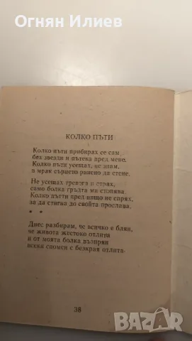 Кралицата Елица, библиофилско издание стихосбирка , снимка 9 - Художествена литература - 55335642