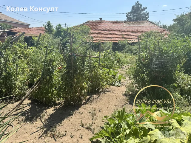 къща село Горски Извор, снимка 10 - Къщи - 55563414
