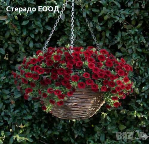 ВИСЯЩА КОШНИЦА ОТ РАКИТА, 30 СМ, снимка 2 - Саксии и кашпи - 54882526