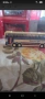 Rietze made in Germany Neoplan 1:87, снимка 7