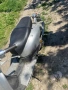 Скутер Znen Zn 125 T E, снимка 2