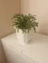 Коледарчета розово и червено , снимка 2