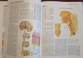 Атлас по анатомия / Atlas of Anatomy, снимка 6