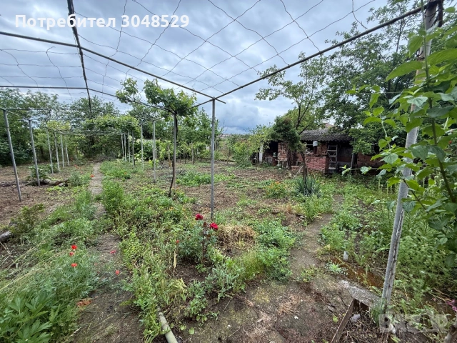 Продавам къща гр. Долни Дъбник, снимка 5 - Къщи - 54941438