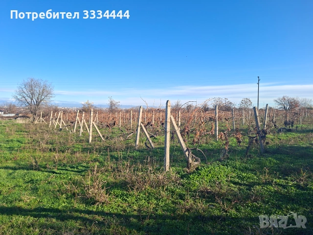 Продавам имот местност с.Марково, гр. Пловдив, снимка 5 - Земеделска земя - 55123025