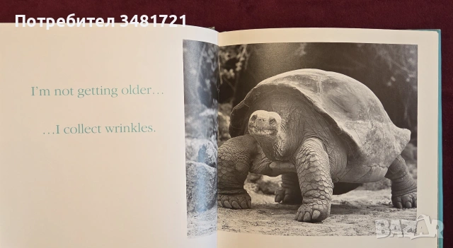Млад по душа / Young at Heart. Keeping a Youthful Sense of Fun, снимка 2 - Други - 55064696