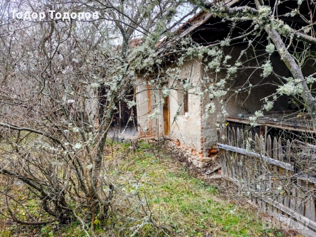 Парцел в с. Дивля, област Перник, снимка 6 - Парцели - 54305864