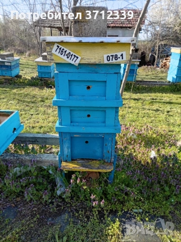 9 рамкови кошери, снимка 3 - Други - 54159749