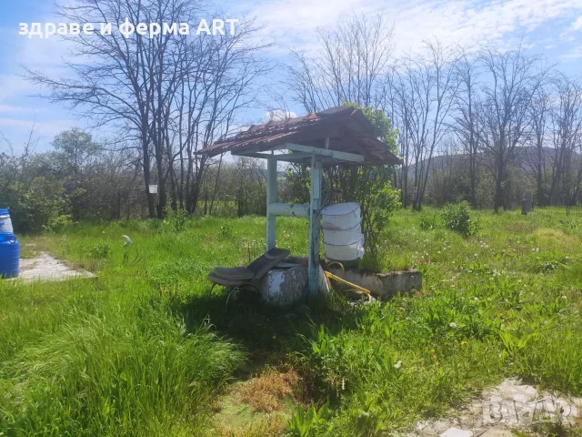 A Fully Legalized, Ready-to-Live Oasis in Blaskovo, снимка 12 - Къщи - 55438782