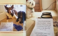 Dog Shaming, снимка 6