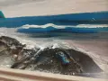 Красива стара морска картина,подписана., снимка 4