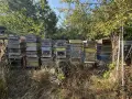 Силни пчелни семейства с кошери – Своге, снимка 1
