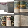 Детски енциклопедии 5-7€, снимка 4
