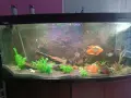 Продавам аквариум 400л , снимка 2