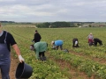 Продавам фейсбук страница с 3366 последователя за набиране на работници за работа в холандия , снимка 1
