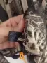 Дамски шал Etro, снимка 5