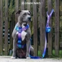Нагръдник за кучета Spark Paws No-Pull - Проектиран за безопасност и контрол - Размер L , снимка 8
