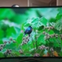 40" телевизор Самсунг, снимка 2
