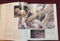 Атлас на океаните / The Random House Atlas of the Oceans, снимка 10